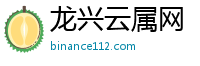 龙兴云属网